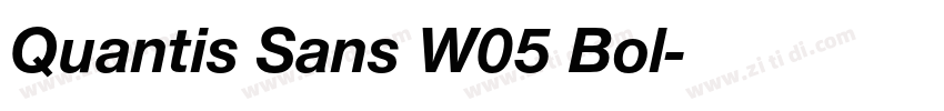 Quantis Sans W05 Bol字体转换